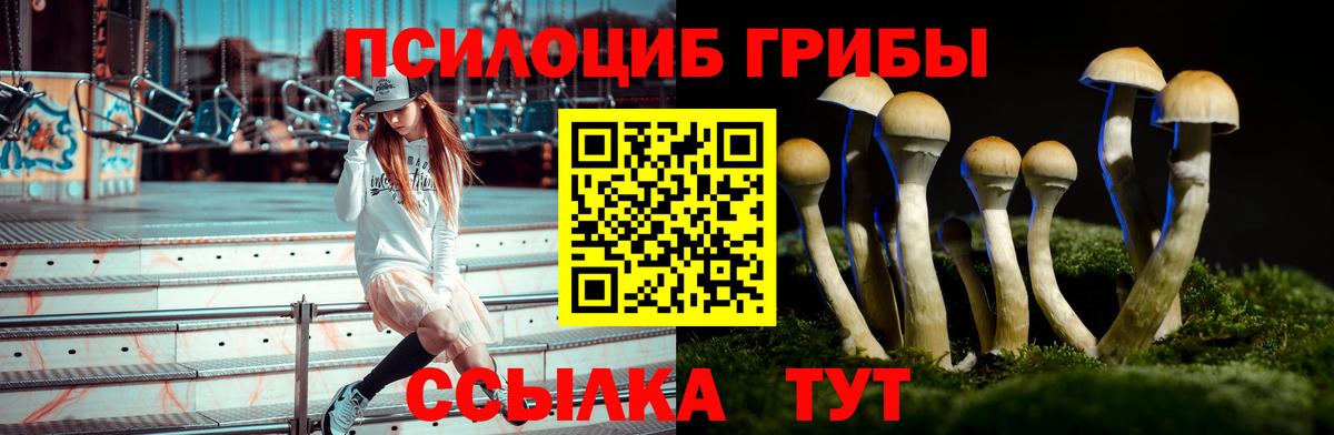 Галлюциногенные грибы GOLDEN TEACHER  Галлюциногенные грибы мухоморы  Сорочинск  Вход с VPN 